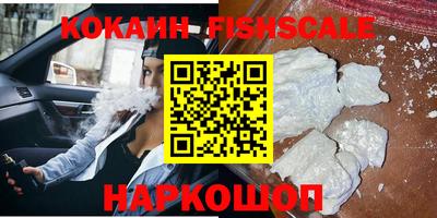 тгк Кингисепп