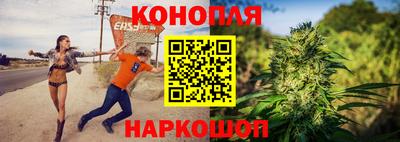 тгк Кингисепп
