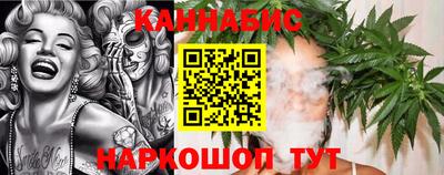 тгк Кингисепп