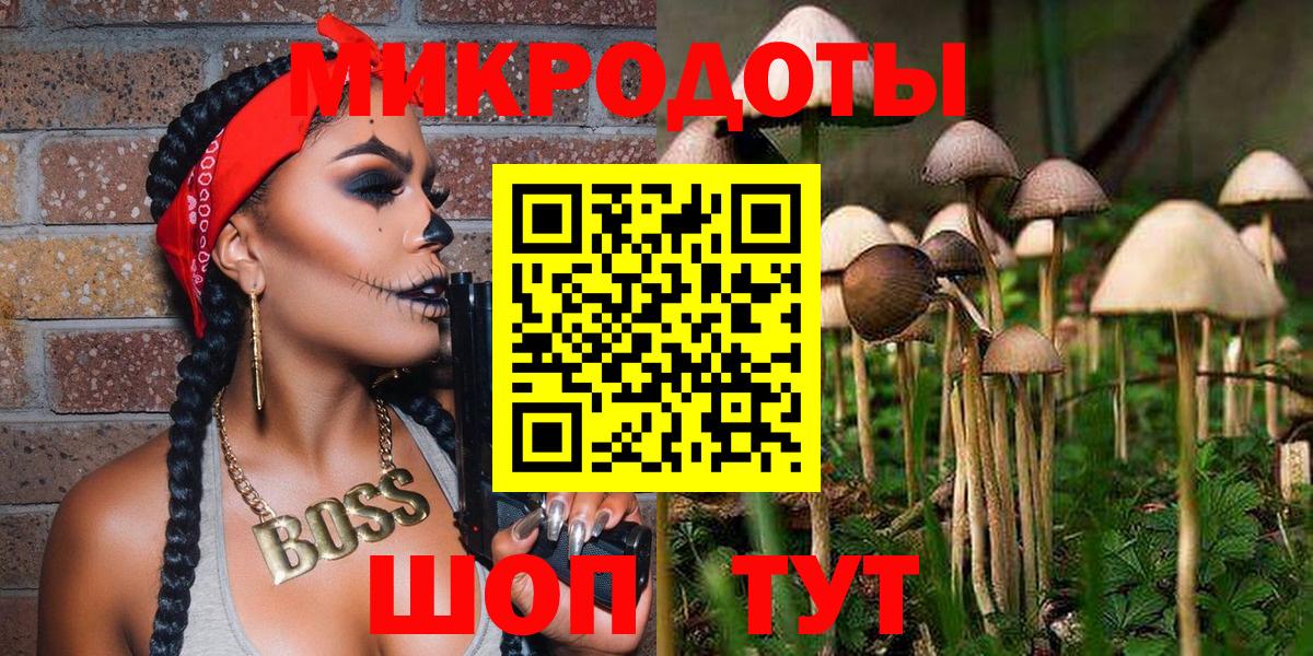 Псилоцибиновые грибы прущие грибы Георгиевск