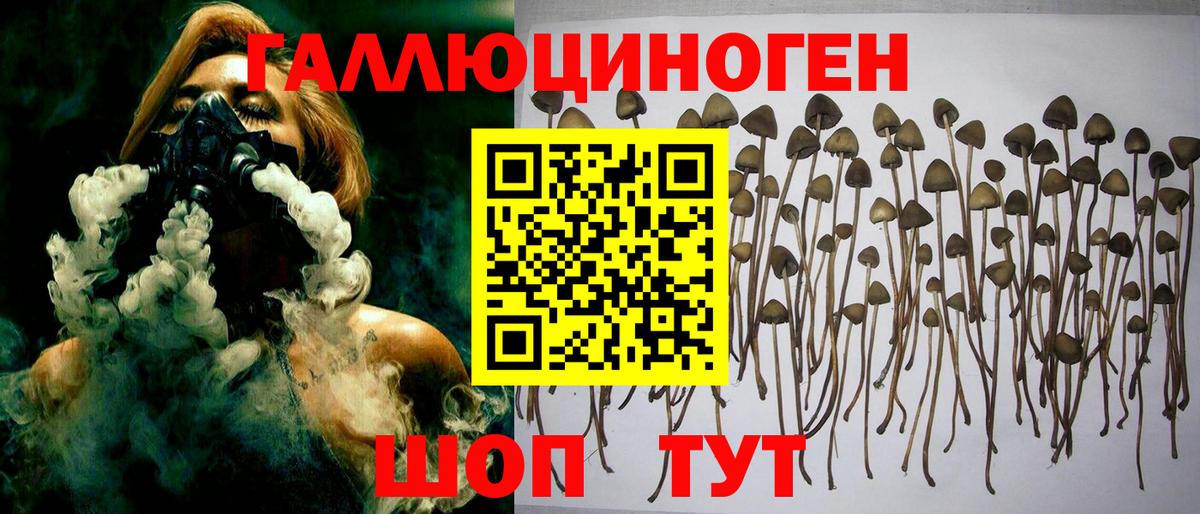 цены наркотик  Вход с VPN  Георгиевск  Галлюциногенные грибы MAGIC MUSHROOMS 